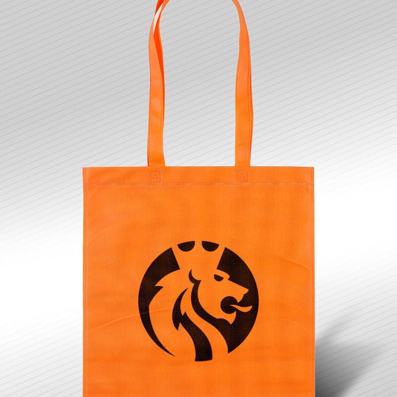 Sacolas em TNT 80 Gramas