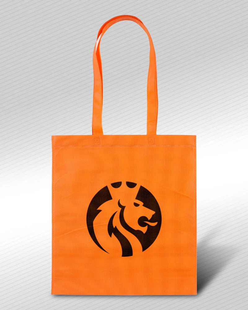 Sacolas em TNT 80 Gramas